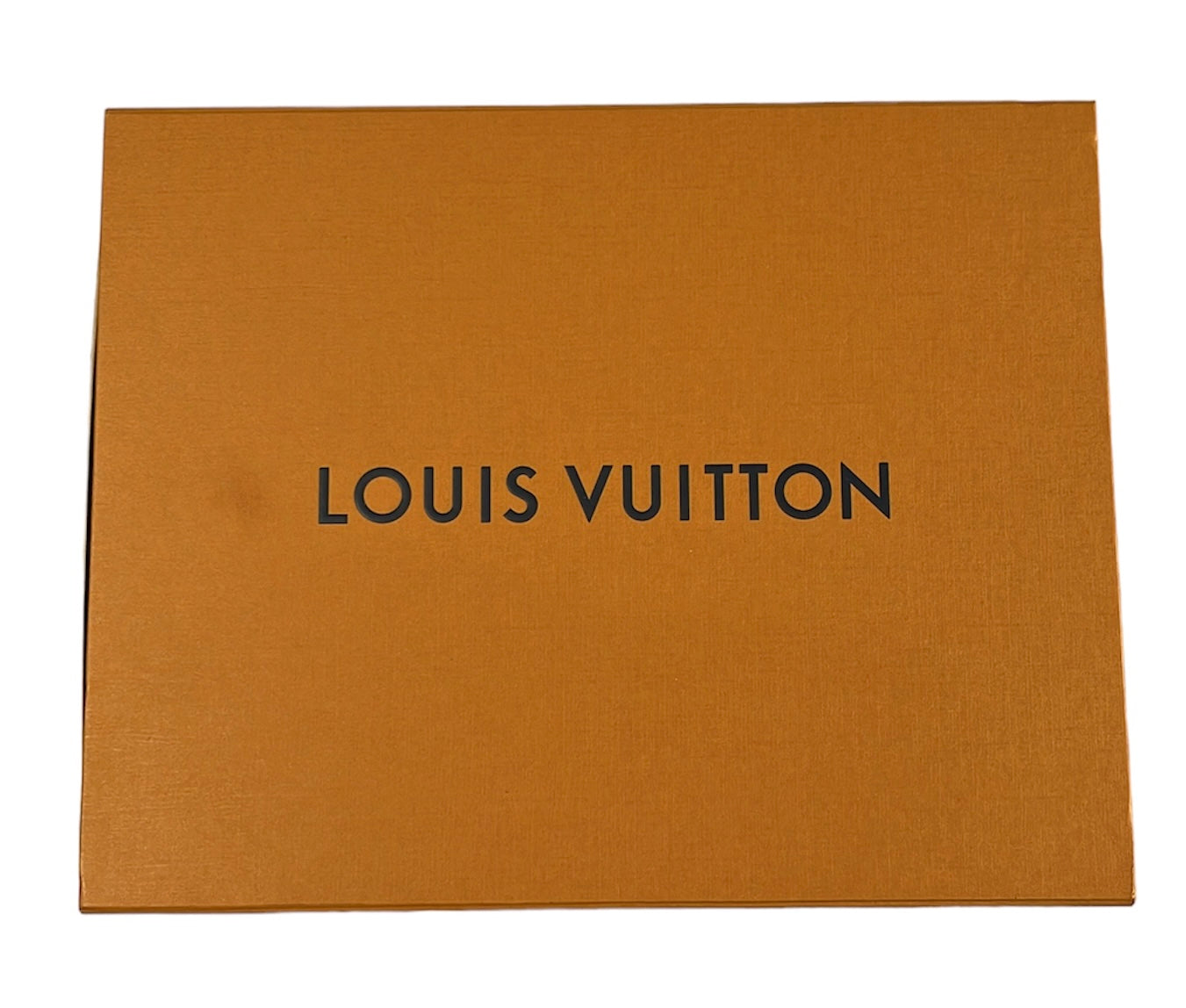 2020 Louis Vuitton trainers (9)